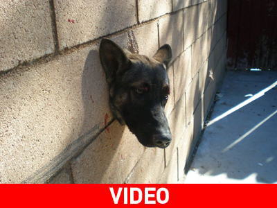 Πώς κόλλησες εκεί εσύ;